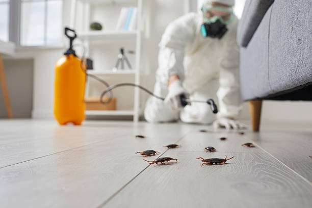 Commercial Kitchen Cockroach Control in Chualar